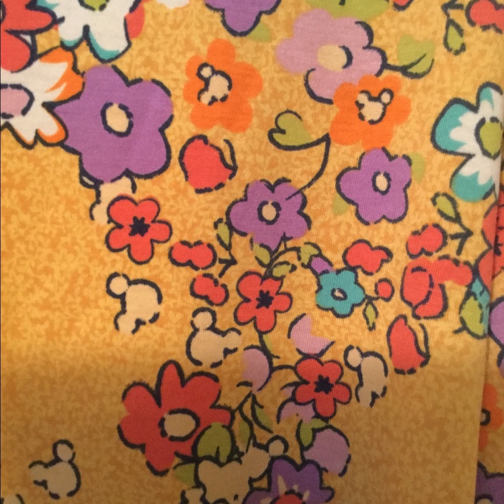 Hidden Mickey Irma